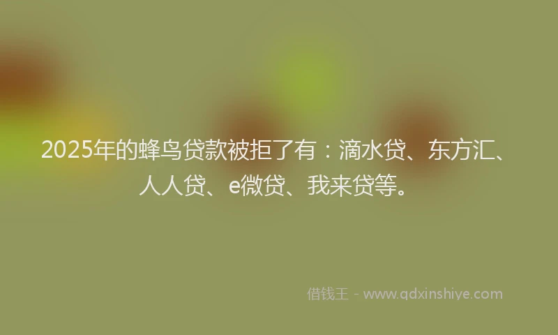 2025年的蜂鸟贷款被拒了有：滴水贷、东方汇、人人贷、e微贷、我来贷等。