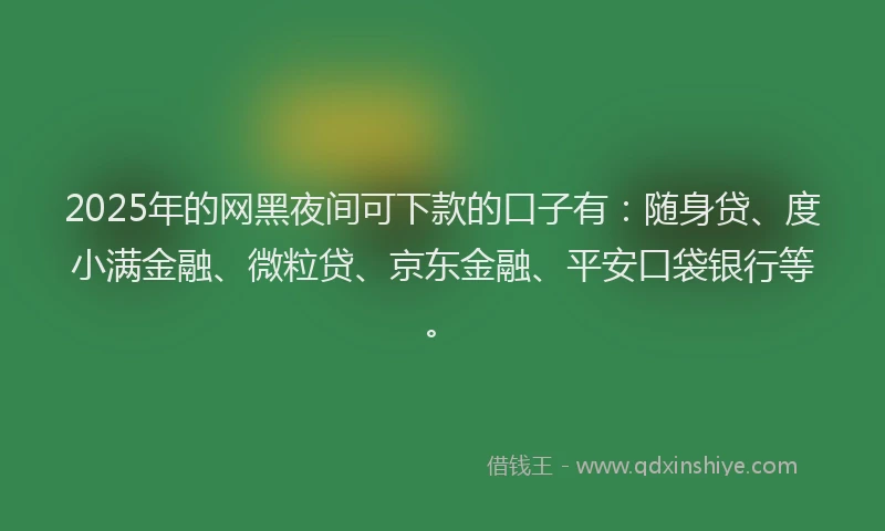 2025年的网黑夜间可下款的口子有：随身贷、度小满金融、微粒贷、京东金融、平安口袋银行等。