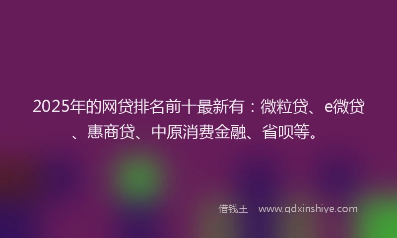 2025年的网贷排名前十最新有：微粒贷、e微贷、惠商贷、中原消费金融、省呗等。