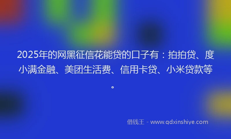 2025年的网黑征信花能贷的口子有：拍拍贷、度小满金融、美团生活费、信用卡贷、小米贷款等。