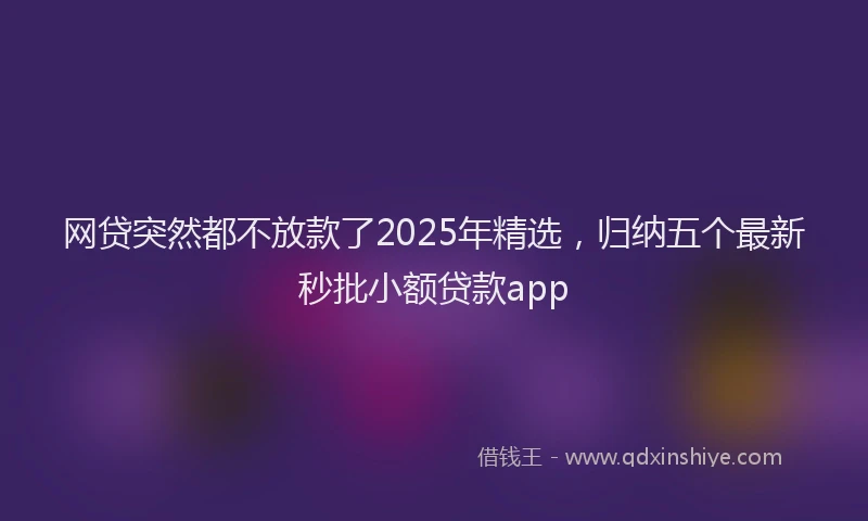 网贷突然都不放款了2025年精选，归纳五个最新秒批小额贷款app