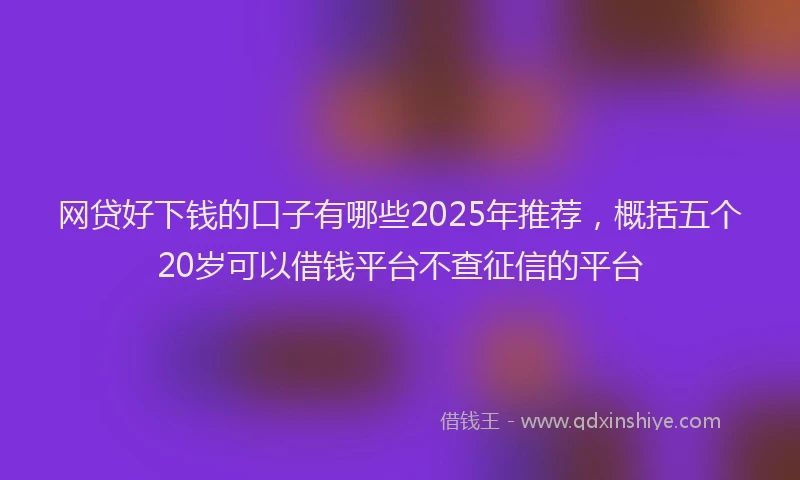 网贷好下钱的口子有哪些2025年推荐，概括五个20岁可以借钱平台不查征信的平台