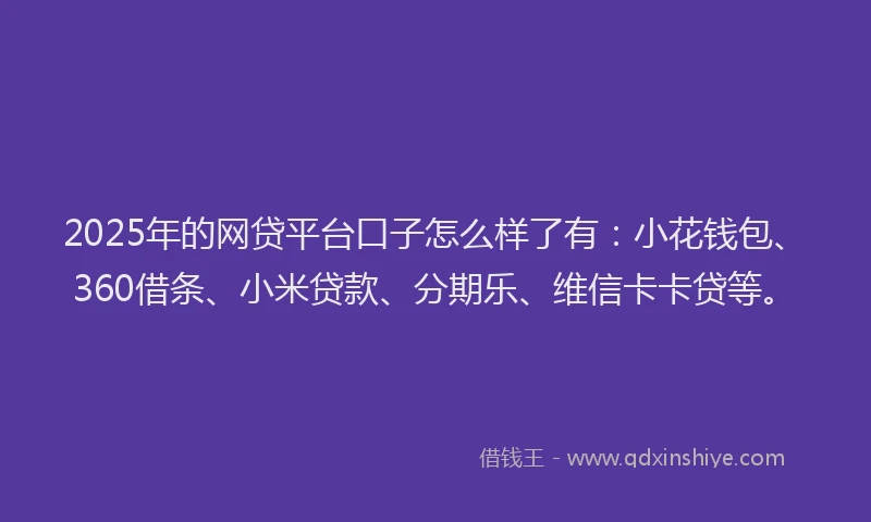 2025年的网贷平台口子怎么样了有：小花钱包、360借条、小米贷款、分期乐、维信卡卡贷等。