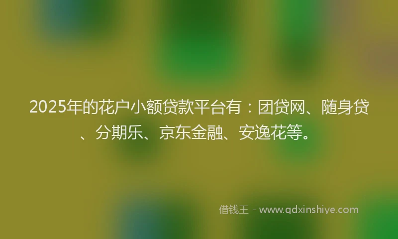 2025年的花户小额贷款平台有：团贷网、随身贷、分期乐、京东金融、安逸花等。