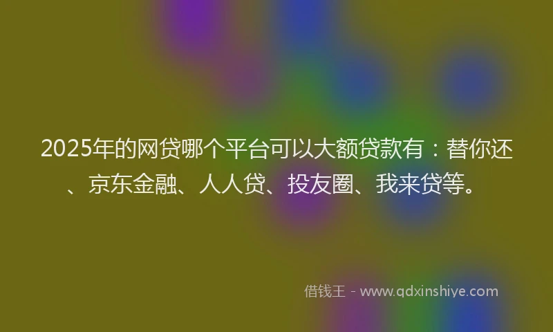 2025年的网贷哪个平台可以大额贷款有：替你还、京东金融、人人贷、投友圈、我来贷等。