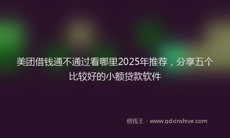 美团借钱通不通过看哪里2025年推荐，分享五个比较好的小额贷款软件