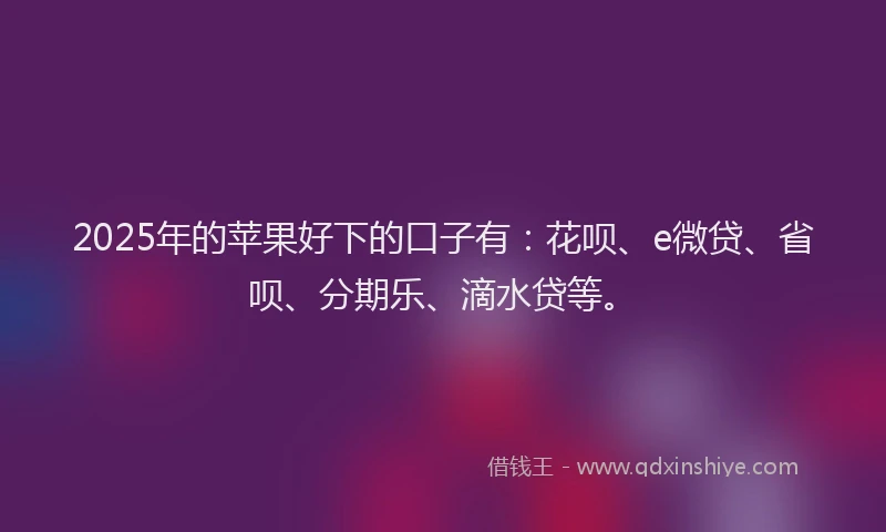 2025年的苹果好下的口子有：花呗、e微贷、省呗、分期乐、滴水贷等。