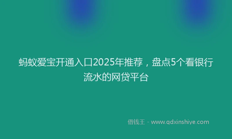 蚂蚁爱宝开通入口2025年推荐，盘点5个看银行流水的网贷平台
