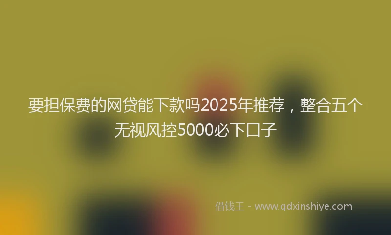要担保费的网贷能下款吗2025年推荐，整合五个无视风控5000必下口子
