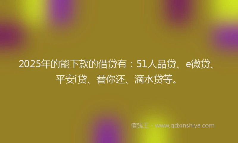 2025年的能下款的借贷有：51人品贷、e微贷、平安i贷、替你还、滴水贷等。