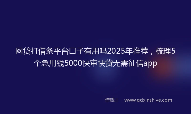 网贷打借条平台口子有用吗2025年推荐，梳理5个急用钱5000快审快贷无需征信app