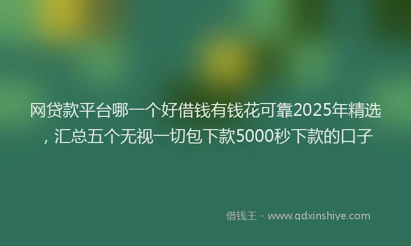网贷款平台哪一个好借钱有钱花可靠2025年精选，汇总五个无视一切包下款5000秒下款的口子