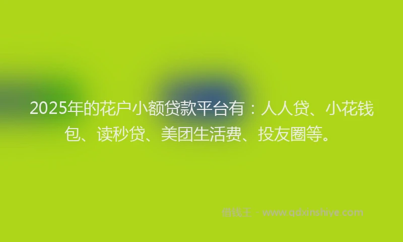 2025年的花户小额贷款平台有：人人贷、小花钱包、读秒贷、美团生活费、投友圈等。