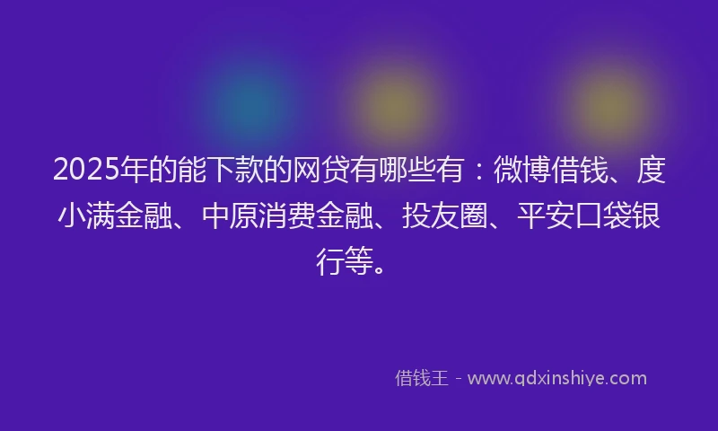 2025年的能下款的网贷有哪些有：微博借钱、度小满金融、中原消费金融、投友圈、平安口袋银行等。