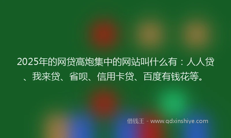 2025年的网贷高炮集中的网站叫什么有：人人贷、我来贷、省呗、信用卡贷、百度有钱花等。