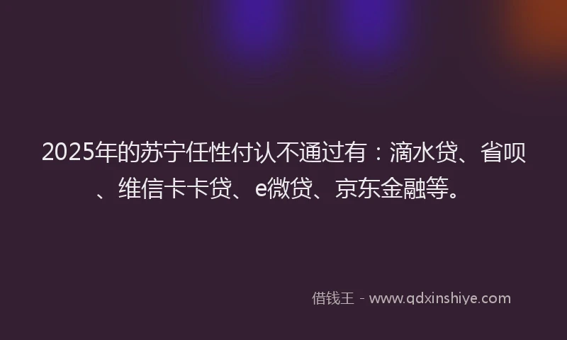 2025年的苏宁任性付认不通过有：滴水贷、省呗、维信卡卡贷、e微贷、京东金融等。