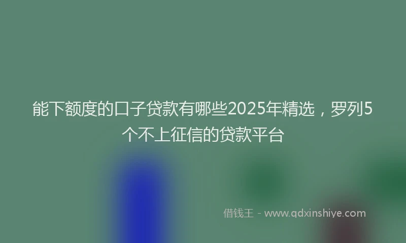 能下额度的口子贷款有哪些2025年精选，罗列5个不上征信的贷款平台