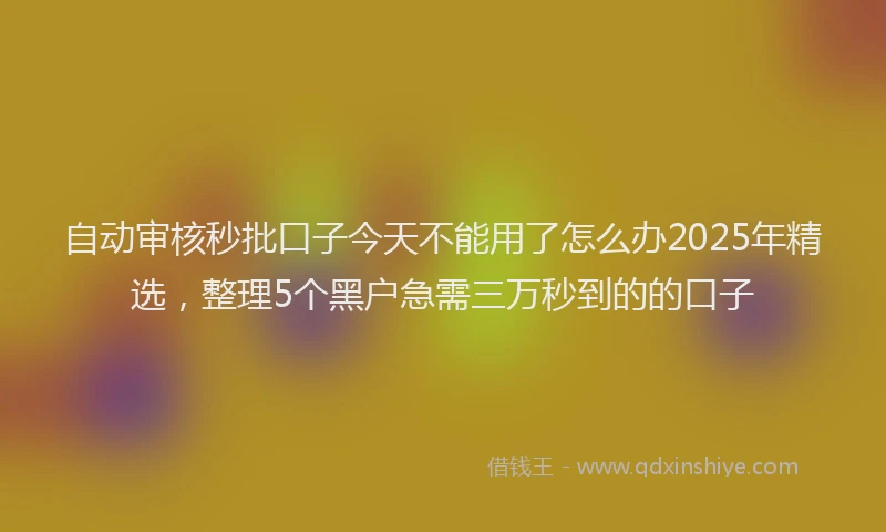 自动审核秒批口子今天不能用了怎么办2025年精选，整理5个黑户急需三万秒到的的口子