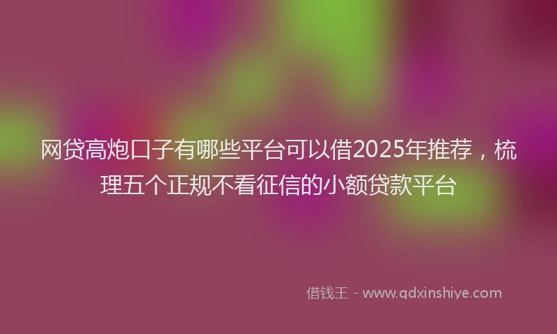 网贷高炮口子有哪些平台可以借2025年推荐，梳理五个正规不看征信的小额贷款平台