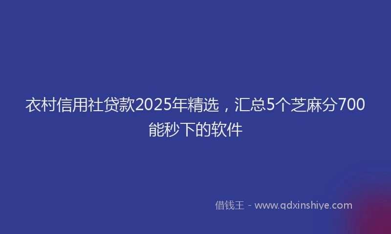 衣村信用社贷款2025年精选，汇总5个芝麻分700能秒下的软件