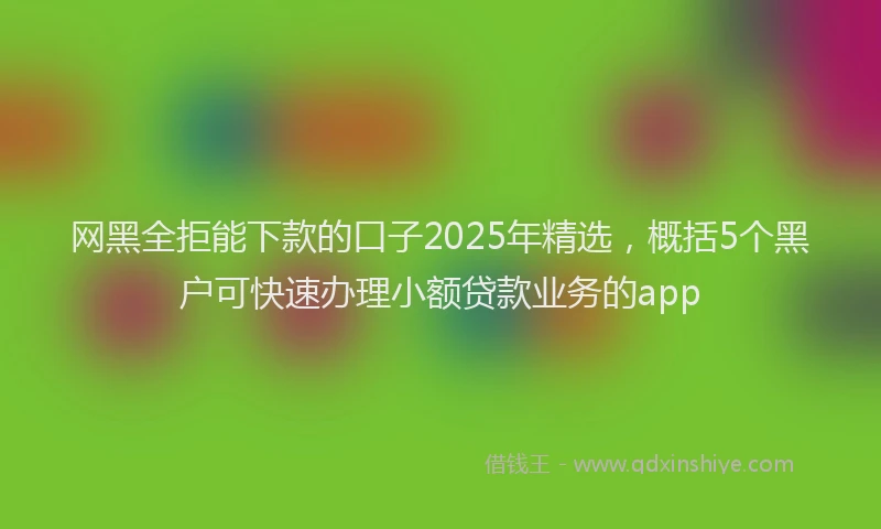 网黑全拒能下款的口子2025年精选，概括5个黑户可快速办理小额贷款业务的app