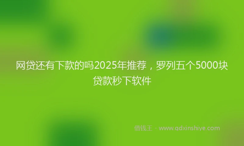 网贷还有下款的吗2025年推荐，罗列五个5000块贷款秒下软件