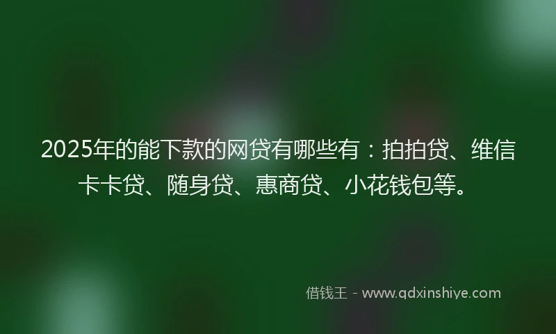 2025年的能下款的网贷有哪些有：拍拍贷、维信卡卡贷、随身贷、惠商贷、小花钱包等。