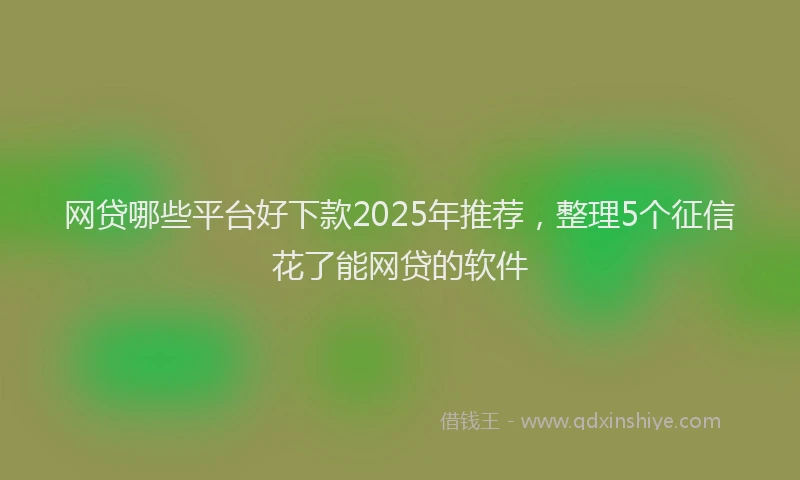 网贷哪些平台好下款2025年推荐，整理5个征信花了能网贷的软件