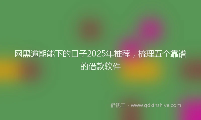网黑逾期能下的口子2025年推荐，梳理五个靠谱的借款软件