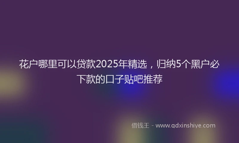 花户哪里可以贷款2025年精选，归纳5个黑户必下款的口子贴吧推荐