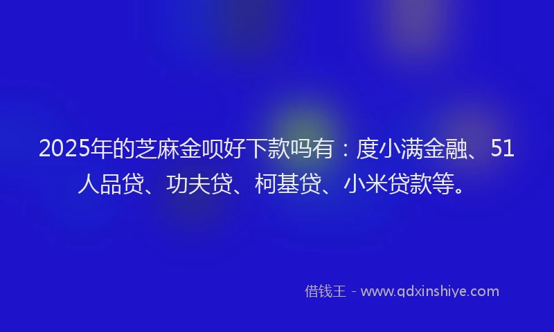 2025年的芝麻金呗好下款吗有：度小满金融、51人品贷、功夫贷、柯基贷、小米贷款等。