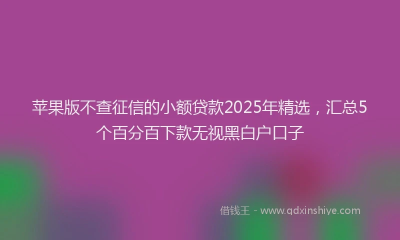 苹果版不查征信的小额贷款2025年精选，汇总5个百分百下款无视黑白户口子