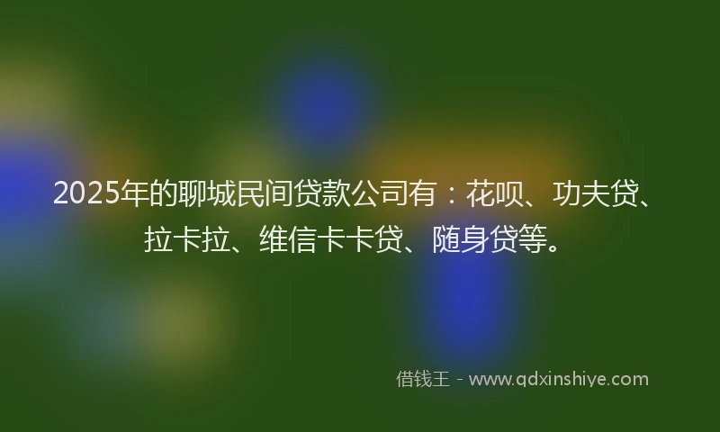 2025年的聊城民间贷款公司有：花呗、功夫贷、拉卡拉、维信卡卡贷、随身贷等。