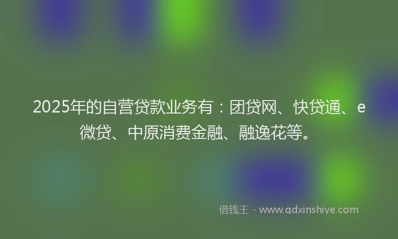 2025年的自营贷款业务有：团贷网、快贷通、e微贷、中原消费金融、融逸花等。