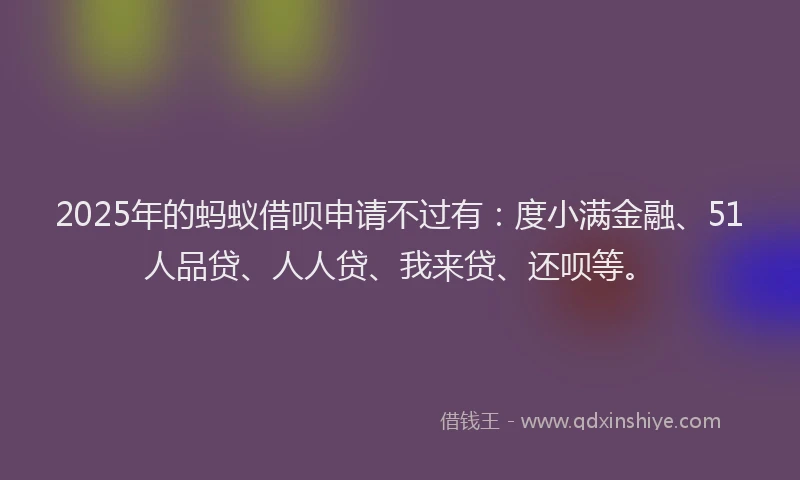 2025年的蚂蚁借呗申请不过有：度小满金融、51人品贷、人人贷、我来贷、还呗等。