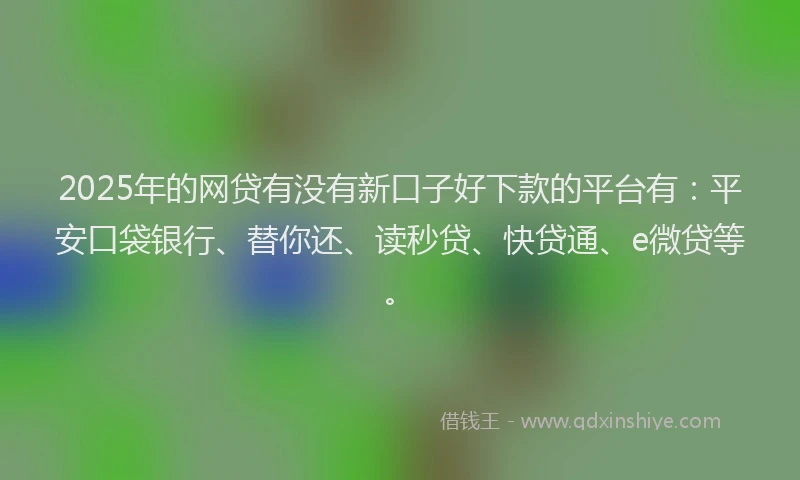 2025年的网贷有没有新口子好下款的平台有：平安口袋银行、替你还、读秒贷、快贷通、e微贷等。
