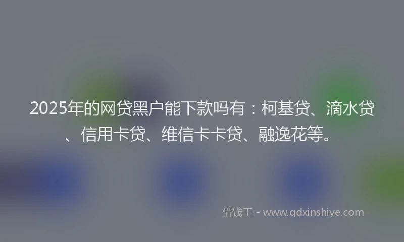 2025年的网贷黑户能下款吗有：柯基贷、滴水贷、信用卡贷、维信卡卡贷、融逸花等。