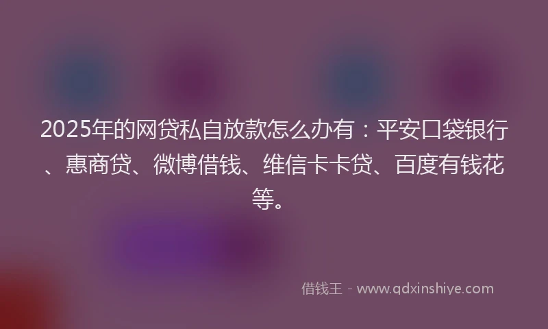 2025年的网贷私自放款怎么办有：平安口袋银行、惠商贷、微博借钱、维信卡卡贷、百度有钱花等。