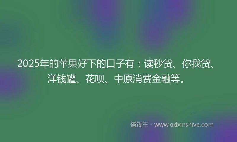 2025年的苹果好下的口子有：读秒贷、你我贷、洋钱罐、花呗、中原消费金融等。