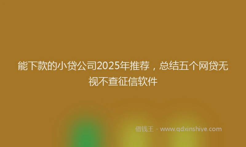 能下款的小贷公司2025年推荐，总结五个网贷无视不查征信软件