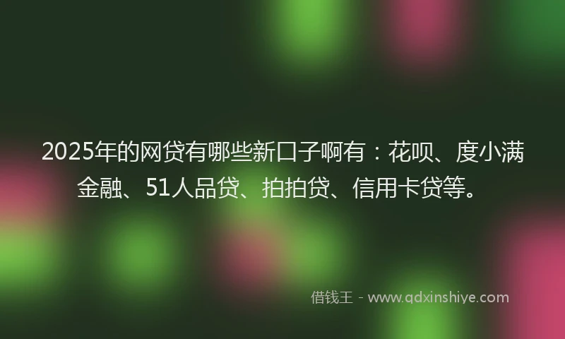 2025年的网贷有哪些新口子啊有：花呗、度小满金融、51人品贷、拍拍贷、信用卡贷等。
