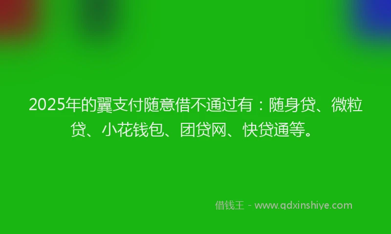 2025年的翼支付随意借不通过有：随身贷、微粒贷、小花钱包、团贷网、快贷通等。