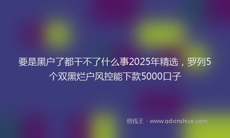 要是黑户了都干不了什么事2025年精选，罗列5个双黑烂户风控能下款5000口子