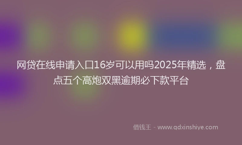网贷在线申请入口16岁可以用吗2025年精选，盘点五个高炮双黑逾期必下款平台
