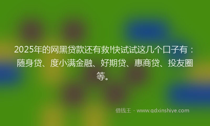 2025年的网黑贷款还有救!快试试这几个口子有：随身贷、度小满金融、好期贷、惠商贷、投友圈等。