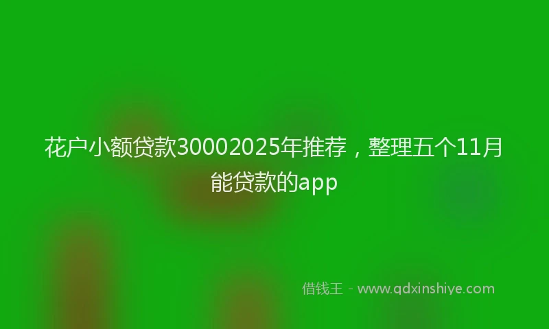 花户小额贷款30002025年推荐，整理五个11月能贷款的app