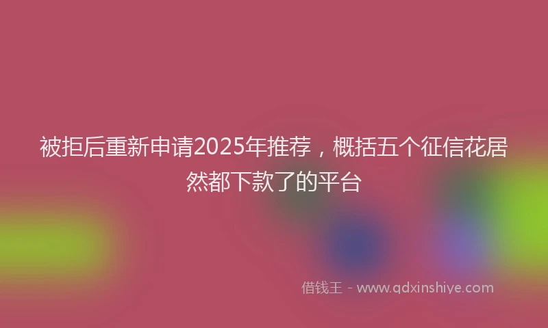 被拒后重新申请2025年推荐，概括五个征信花居然都下款了的平台