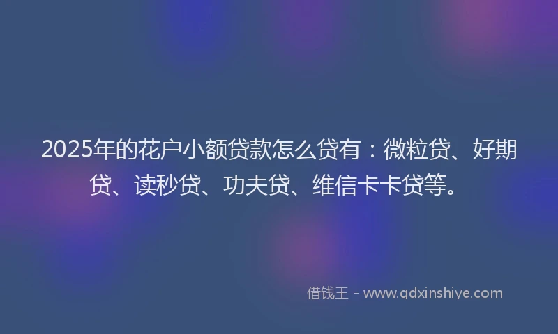 2025年的花户小额贷款怎么贷有：微粒贷、好期贷、读秒贷、功夫贷、维信卡卡贷等。