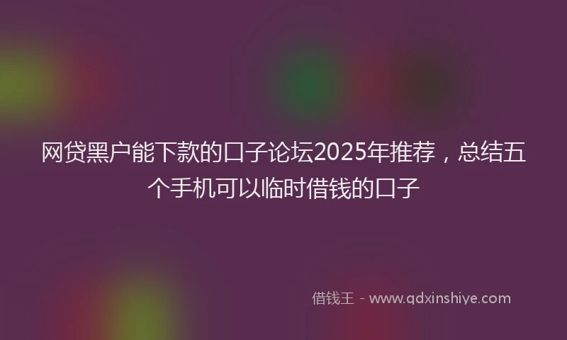 网贷黑户能下款的口子论坛2025年推荐，总结五个手机可以临时借钱的口子
