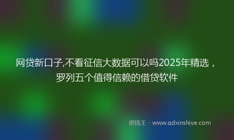 网贷新口子,不看征信大数据可以吗2025年精选，罗列五个值得信赖的借贷软件